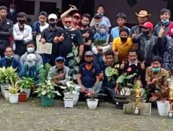 Astathi Kembali Gelar Kontes Tanaman Hias Di Puncak Bogor