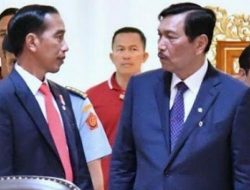 Luhut Lapor Jokowi : Ada Perusahaan Sawit Kuasai 500 HA
