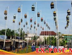 Dau Bird Farm Juara Pertama Di Piala Latber P3SI ( Persatuan Pelestari Perkutut Seluruh Indonesia )